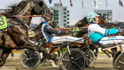 goldenguard-2-1500x1365-2-1