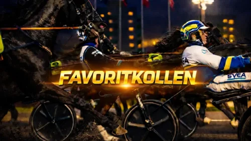 favoritkollen-hemsida